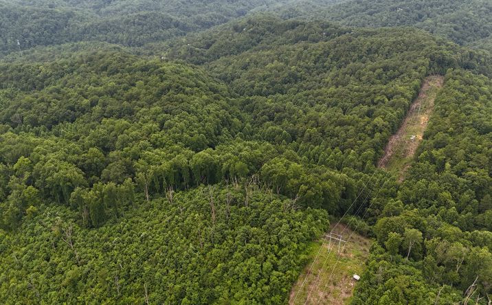 Pictures of Land property located at S King Branch Rd, Sevierville, TN 37876, 0 S King Branch Road, Sevierville, TN 37876 for sales - image #1
