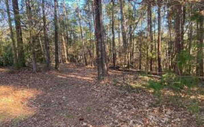 Pictures of Land property located at 0 Brent Circle, Mc Cormick, SC 29835 for sales - image #1