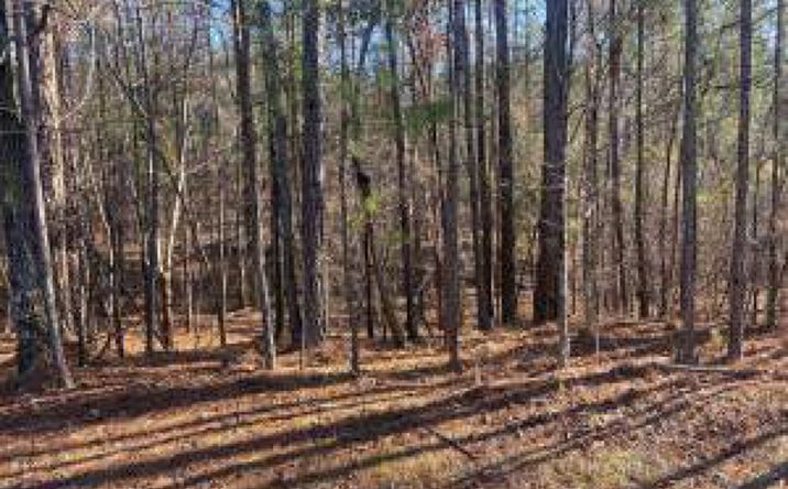 Pictures of Land property located at 0 Colonial Lane, Mc Cormick, SC 29835 for sales - image #1