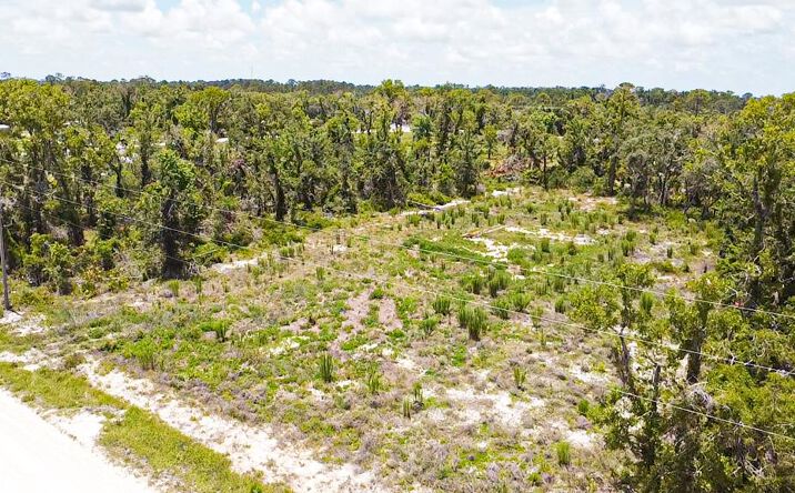 Pictures of Land property located at Royal Oak Dr, Perry, FL 32348 for sales - image #1