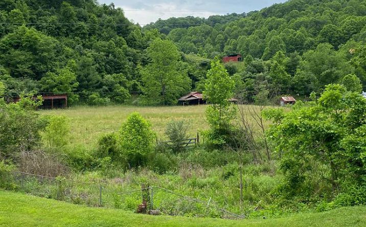 Pictures of Land, Multifamily property located at 204 Daniels Road, Bandy, VA 24602 for sales - image #1