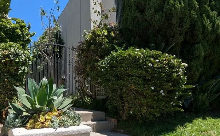Pictures of Multifamily property located at 1288 Barry, Los Angeles, CA 90025 for sales - image #1