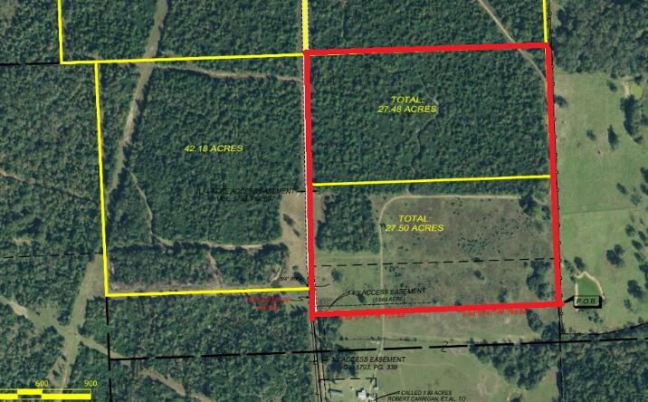 Pictures of Land property located at 0 Private Road 2026, Buffalo, TX 75831 for sales - image #1