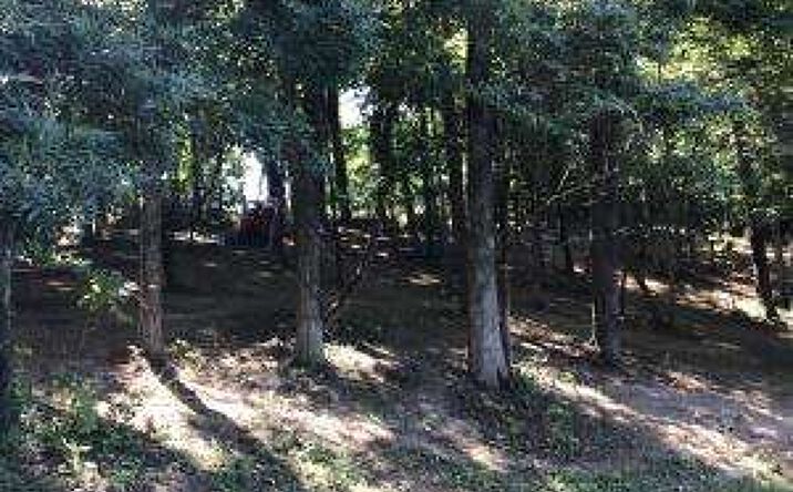 Pictures of Land property located at L24r Maple Crest, Greeneville, TN 37743 for sales - image #1