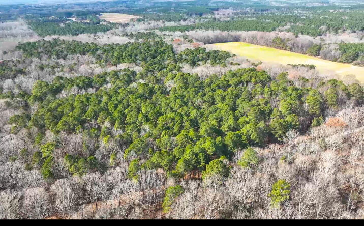Pictures of Land property located at Lot 1 C Turkey Buzzard Lane, Pittsboro, NC 27312 for sales - image #1