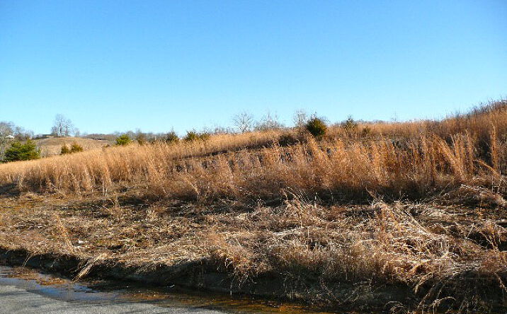 Pictures of Land property located at 2 Acres Cookeville Highway, Livingston, TN 38570 for sales - image #1
