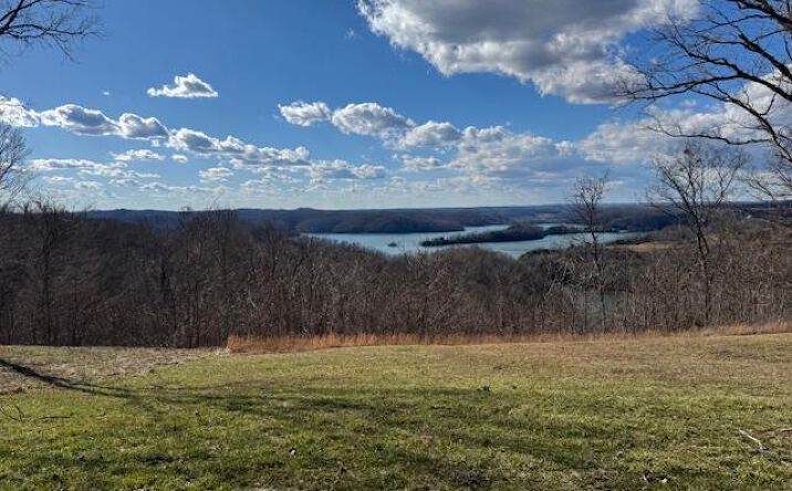 Pictures of Land property located at 78C Swan Ridge Rd, Hilham, TN 38568 for sales - image #1