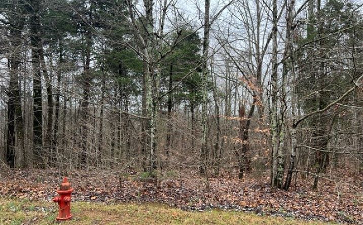 Pictures of Land property located at Cornerstone Pkwy, Allons, TN 38541 for sales - image #1