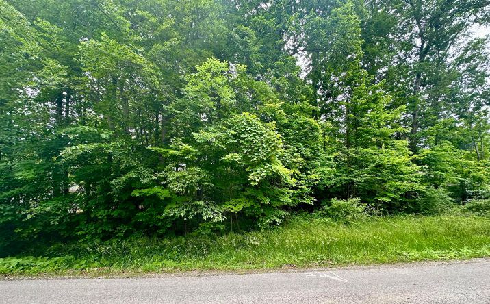 Pictures of Land property located at 7326 St. Rt. 19 Unit 10 Lot 46&47, Mount Gilead, OH 43338 for sales - image #1
