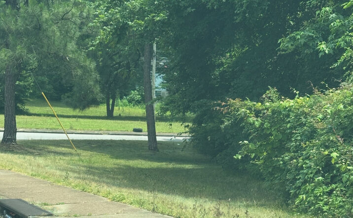 Pictures of Land property located at 129 W Brooks Rd, Memphis, TN 38109 for sales - image #1