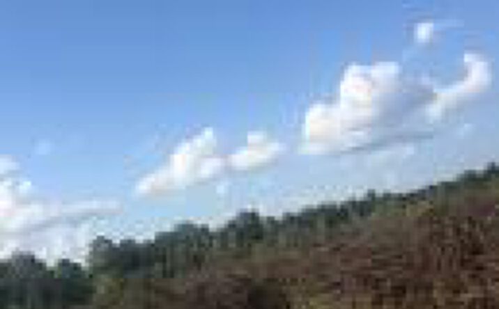 Pictures of Land property located at 00 Log Creek Rd, Edgefield, SC 29824 for sales - image #1