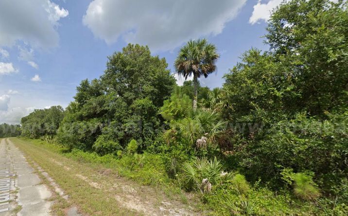 Pictures of Land property located at NW 12th St, Ocala, FL 34482, SW 7th St, Belle Glade, FL 33430, Ermine Rd, Astor, FL 32102, Hamilton Rd, Panama City, FL 32404, Hamburg Dr, North Port, FL 34288, 163 Detroit Boulevard, Alva, FL 33920, Walter St, Hudson, FL 34669, 539 E Voorhis Ave, Deland, FL 32724 for sales - image #1