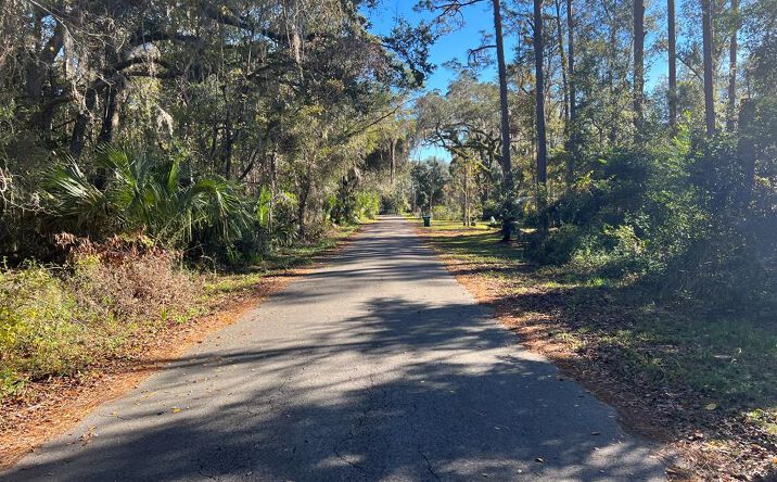 Pictures of Land property located at 0 SE 21st Ave, Cross City, FL 32628 for sales - image #1
