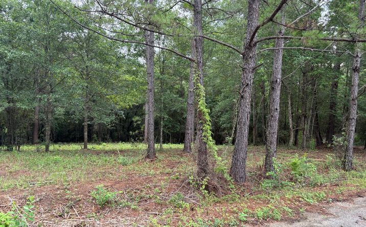 Pictures of Land property located at 13 Pocahontas Lane, Carriere, MS 39426 for sales - image #1