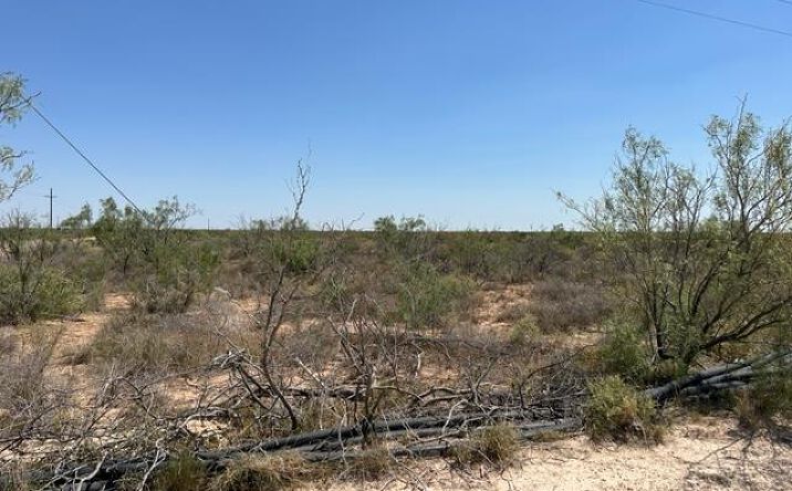 Pictures of Land property located at 00 E Saltgrass St, Odessa, TX 79766 for sales - image #1