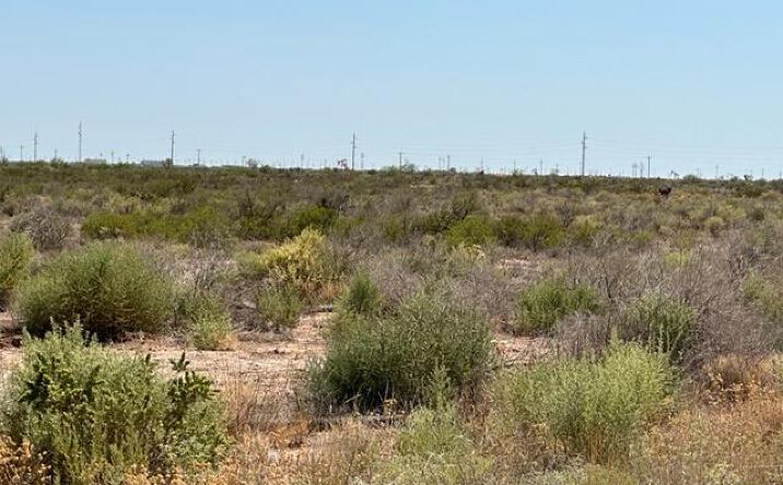 Pictures of Land property located at 0 E Saltgrass St, Odessa, TX 79766 for sales - image #1