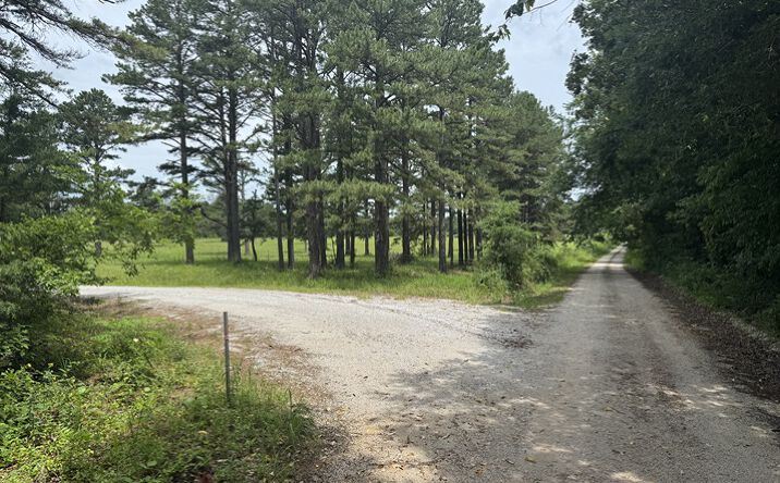 Pictures of Land property located at 3309 NC 421, Marble Falls, AR 72648 for sales - image #1