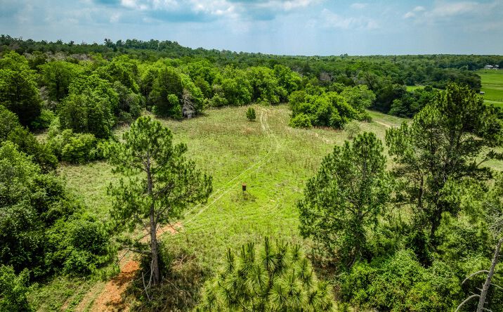 Pictures of Land property located at 2330 County Road 329, Milano, TX 76556 for sales - image #1
