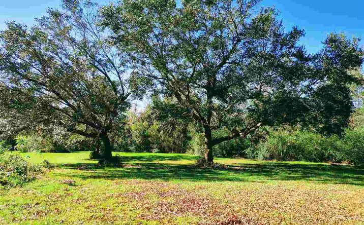Pictures of Land property located at 33019 US-98, Lillian, AL 36549 for sales - image #1
