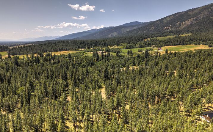 Pictures of Land property located at NHN Holloway Lane, Florence, MT 59833 for sales - image #1