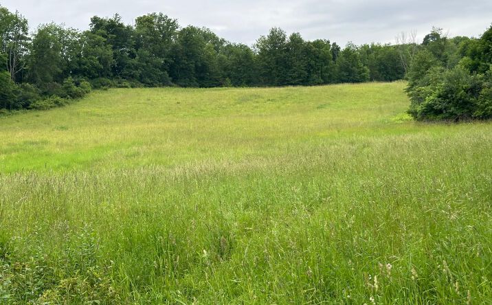 Pictures of Land property located at 2708 State Route 207, Hamptonburgh, NY 10916 for sales - image #1