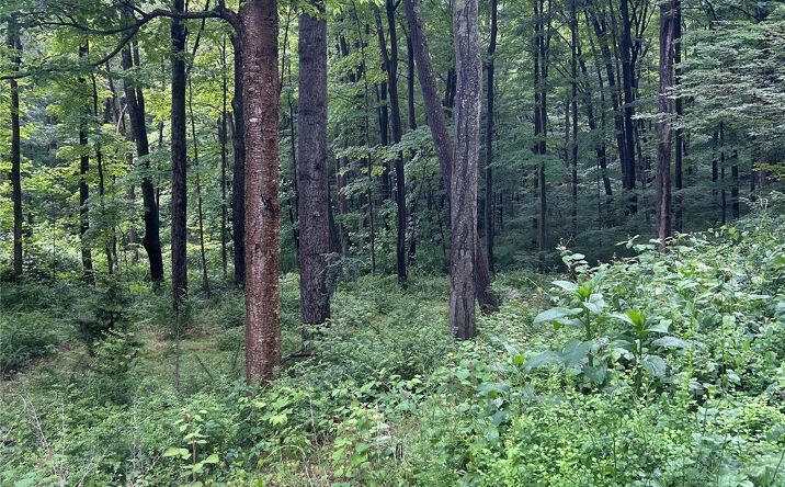 Pictures of Land, Special Purpose property located at Gordon Road, Kent, NY 10512 for sales - image #1
