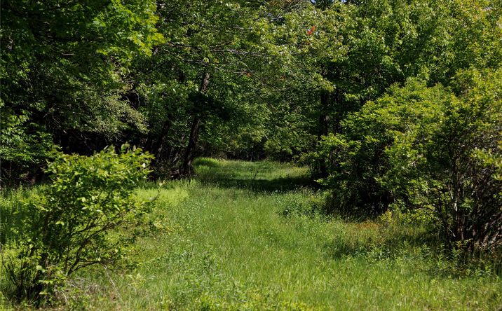 Pictures of Land property located at 650 Thunder Hill Road, Neversink, NY 12788 for sales - image #1