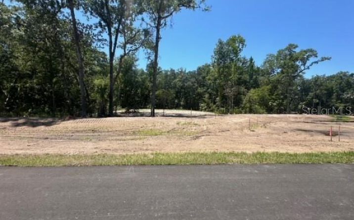 Pictures of Land property located at Republican (Lot 6) Way, Brooksville, FL 34601 for sales - image #1