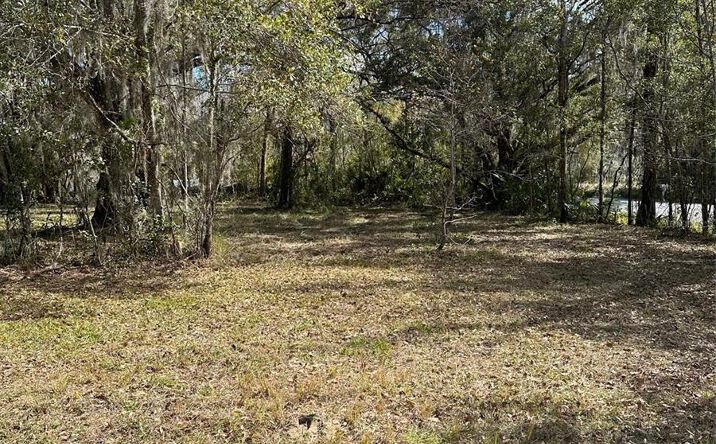 Pictures of Land property located at 0 Yontz Rd, Brooksville, FL 34601 for sales - image #1