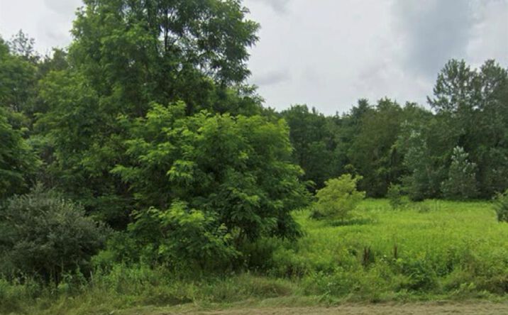 Pictures of Land property located at 14951 State Route 23, Prattsville, NY 12468 for sales - image #1