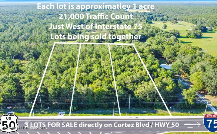Pictures of Land property located at Cortez Blvd, Brooksville, FL 34602 for sales - image #1