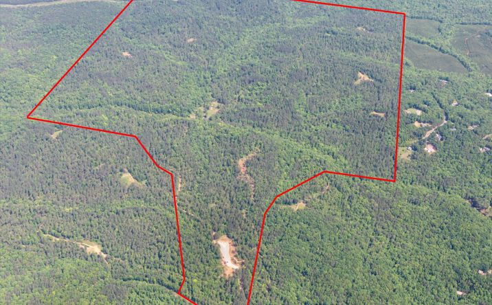 Pictures of Land property located at 1600 White Rd, White, GA 30184 for sales - image #1