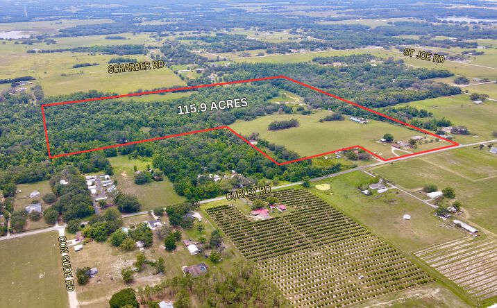 Pictures of Land property located at 14409 Curley St, San Antonio, FL 33576 for sales - image #1