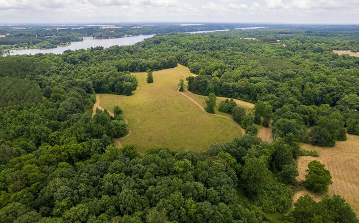 Pictures of Land property located at 00 Richter Road, Rogersville, AL 35652 for sales - image #1