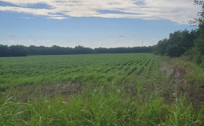 Pictures of Land property located at TBD U.S. Hwy 271 S, Deport, TX, USA, Deport, TX 75435 for sales - image #1