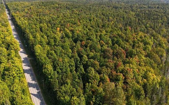Pictures of Land property located at H-58 Alger, Munising, MI 49862 for sales - image #1