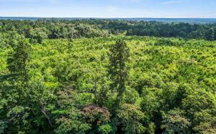 Pictures of Land, Special Purpose property located at 840 Osbon Drive, Aiken, SC 29801 for sales - image #1