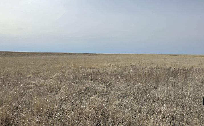 Pictures of Land property located at Tracts 2 & 11-T20S-R55W, Sugar City, CO 81076 for sales - image #1