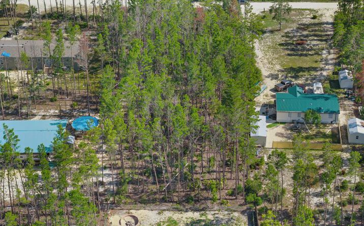 Pictures of Land property located at NE Oak Pond Ln, Steinhatchee, FL 32359 for sales - image #1