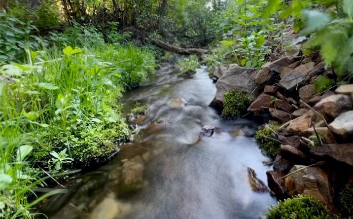 Pictures of Land property located at TBD Soap Gulch Road, Melrose, MT 59743 for sales - image #1