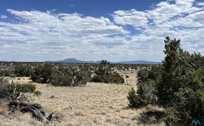 Pictures of Land property located at Warpath Rd Road, Quemado, NM 87829 for sales - image #1