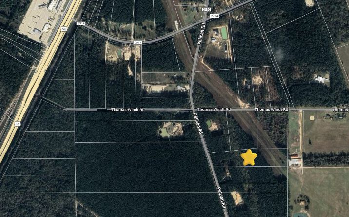 Pictures of Land property located at Pelican Rd, Shepherd, TX 77371 for sales - image #1