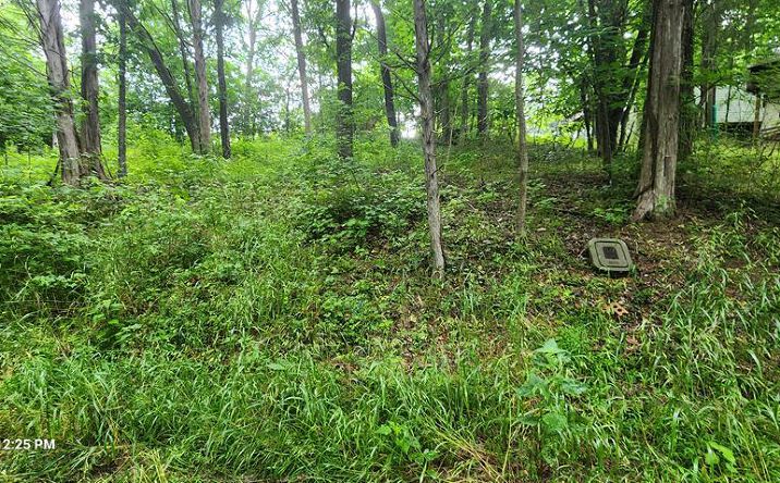 Pictures of Land property located at 94 Highlander Ln, Camden, TN 38320 for sales - image #1