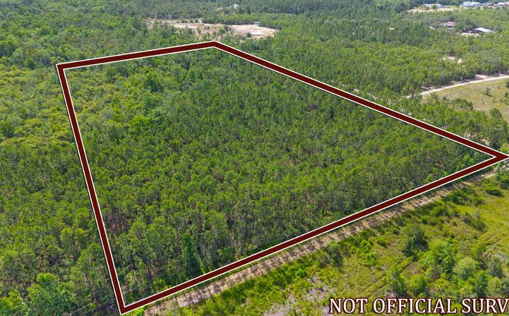 Pictures of Land property located at 276 SW 348th Ave, Steinhatchee, FL 32359 for sales - image #1