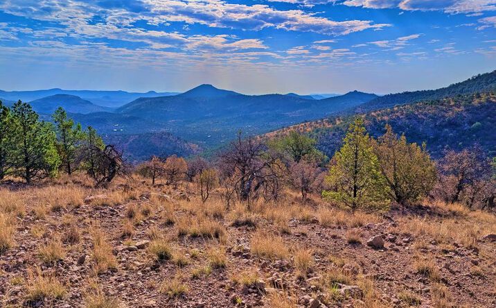 Pictures of Land, Multifamily property located at 117 Apache Mountain Trail, Fort Davis, TX 79734 for sales - image #1