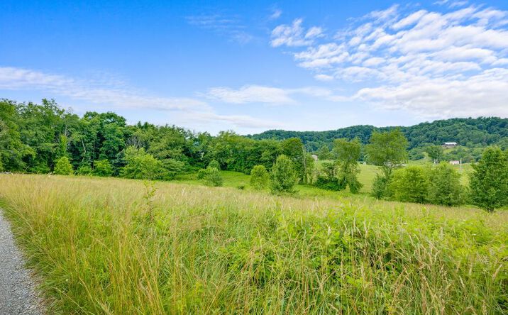 Pictures of Land, Multifamily property located at 19271 Underwood Ln., Abingdon, VA 24211 for sales - image #1