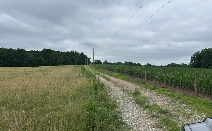 Pictures of Land property located at 525 Rock Hump Rd, Salisbury, NC 28147 for sales - image #1
