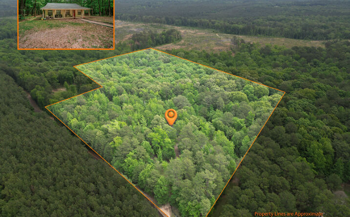 Pictures of Land property located at 322 CR 2119, Atlanta, TX 75551 for sales - image #1