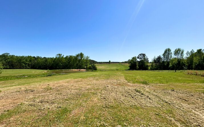 Pictures of Land property located at 416 N FM 251, Atlanta, TX 75551 for sales - image #1