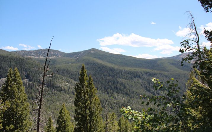 Pictures of Land property located at 56 Kewanee Lode, Philipsburg, MT 59858 for sales - image #1
